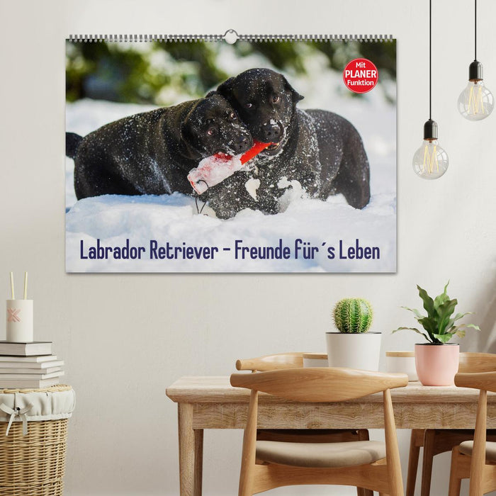 Labrador Retriever - Freunde für´s Leben (CALVENDO Wandkalender 2025)