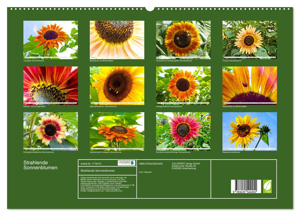 Strahlende Sonnenblumen (CALVENDO Premium Wandkalender 2025)