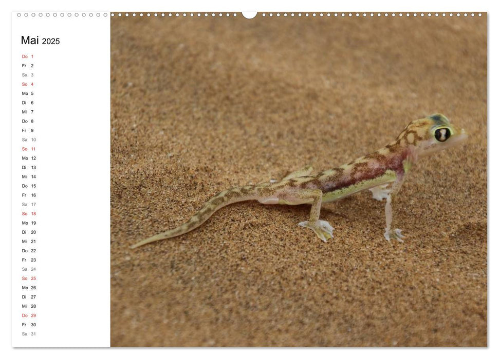 Namibia - Tierische Vielfalt (Planer) (CALVENDO Premium Wandkalender 2025)