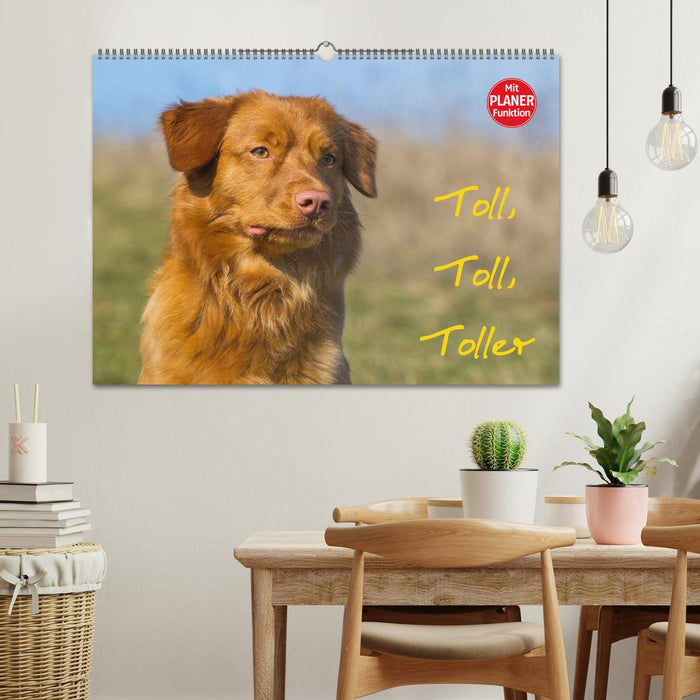 Toll, toll, Toller (CALVENDO Wandkalender 2025)