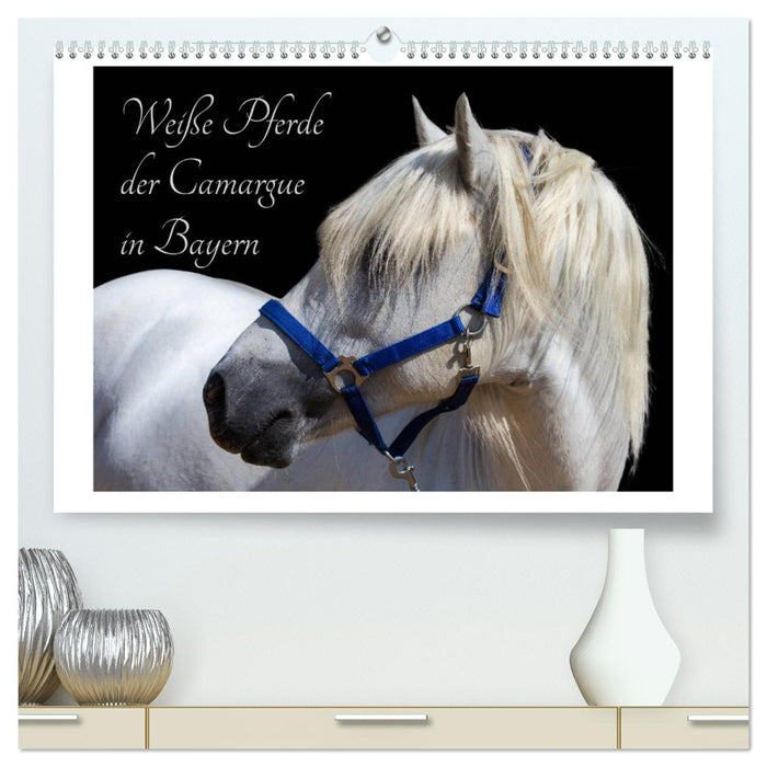 Weiße Pferde der Camargue in Bayern (CALVENDO Premium Wandkalender 2025)