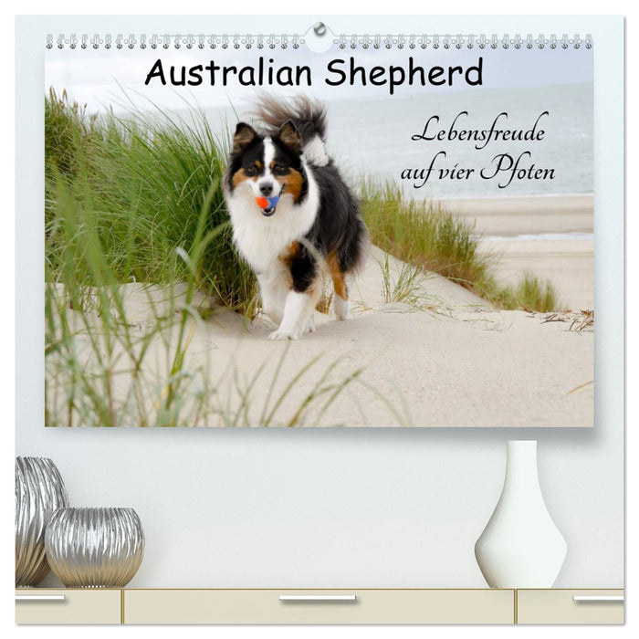 Australian Shepherd - Lebensfreude auf vier Pfoten (CALVENDO Premium Wandkalender 2025)