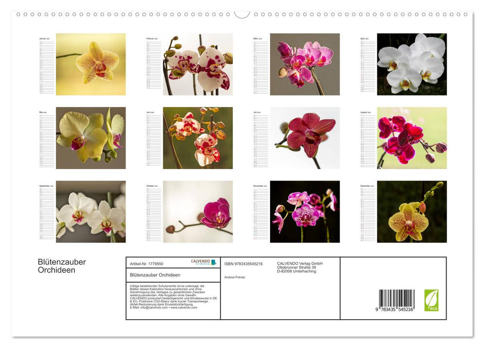 Blütenzauber Orchideen (CALVENDO Premium Wandkalender 2025)