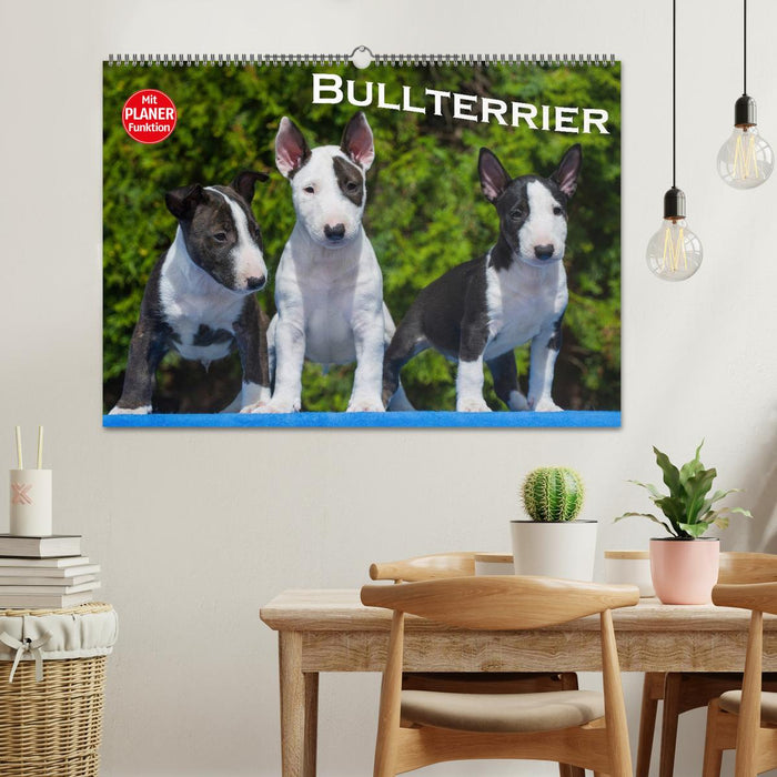 Bullterrier (CALVENDO Wandkalender 2025)