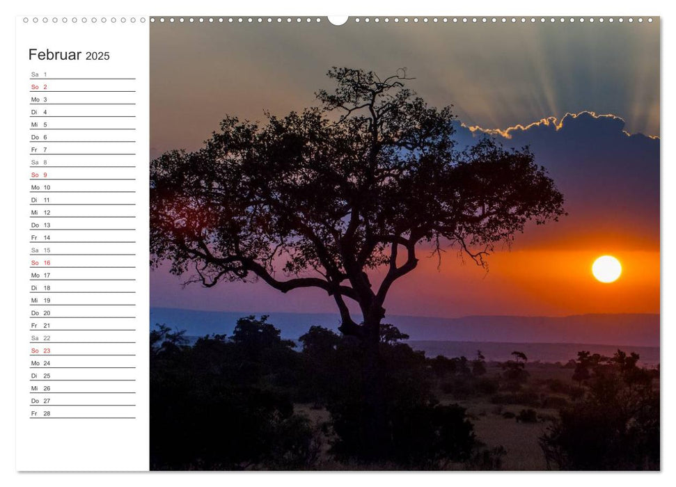 Emotionale Momente: Mein wildes Afrika (CALVENDO Wandkalender 2025)