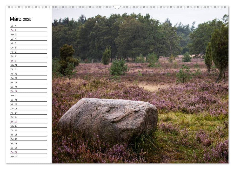 Lüneburger Heide (CALVENDO Premium Wandkalender 2025)