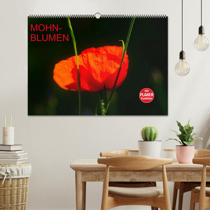 Mohnblumen (CALVENDO Wandkalender 2025)