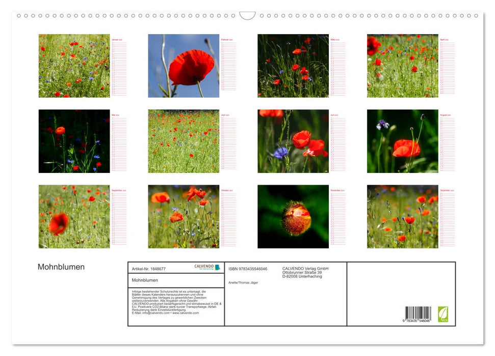 Mohnblumen (CALVENDO Wandkalender 2025)