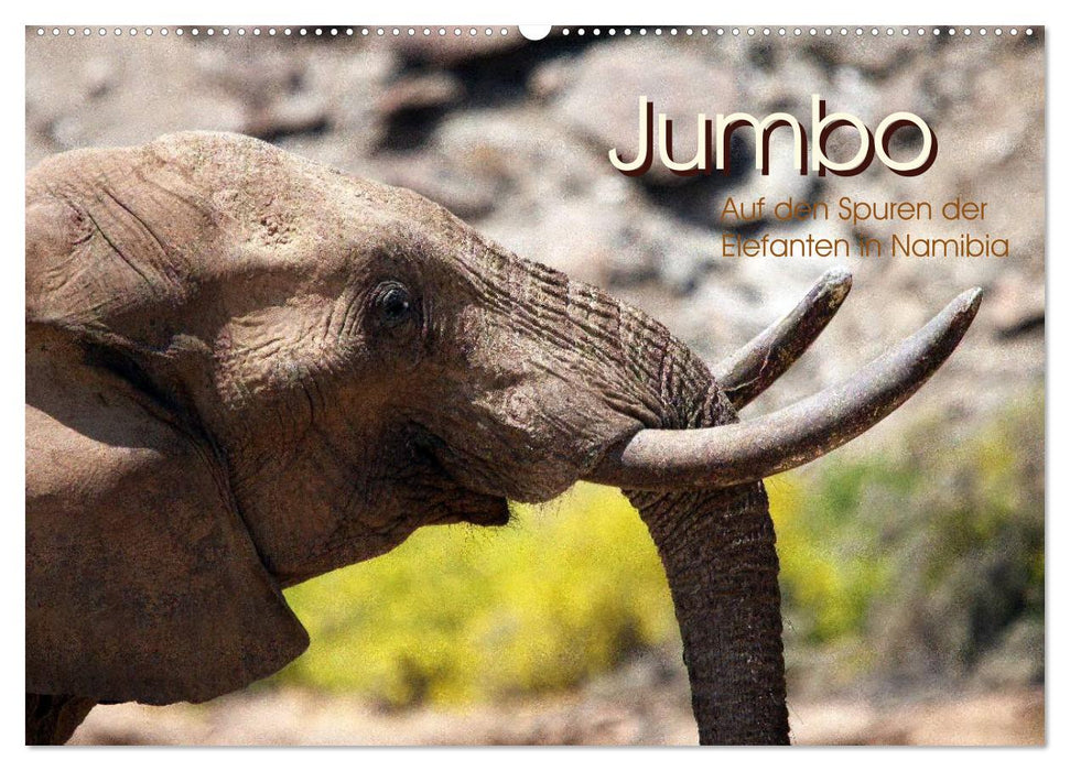 Jumbo Auf den Spuren der Elefanten in Namibia (CALVENDO Wandkalender 2025)