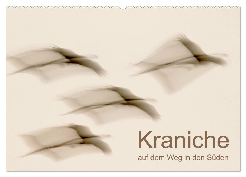 Kraniche auf dem Weg nach Süden (CALVENDO Wandkalender 2025)