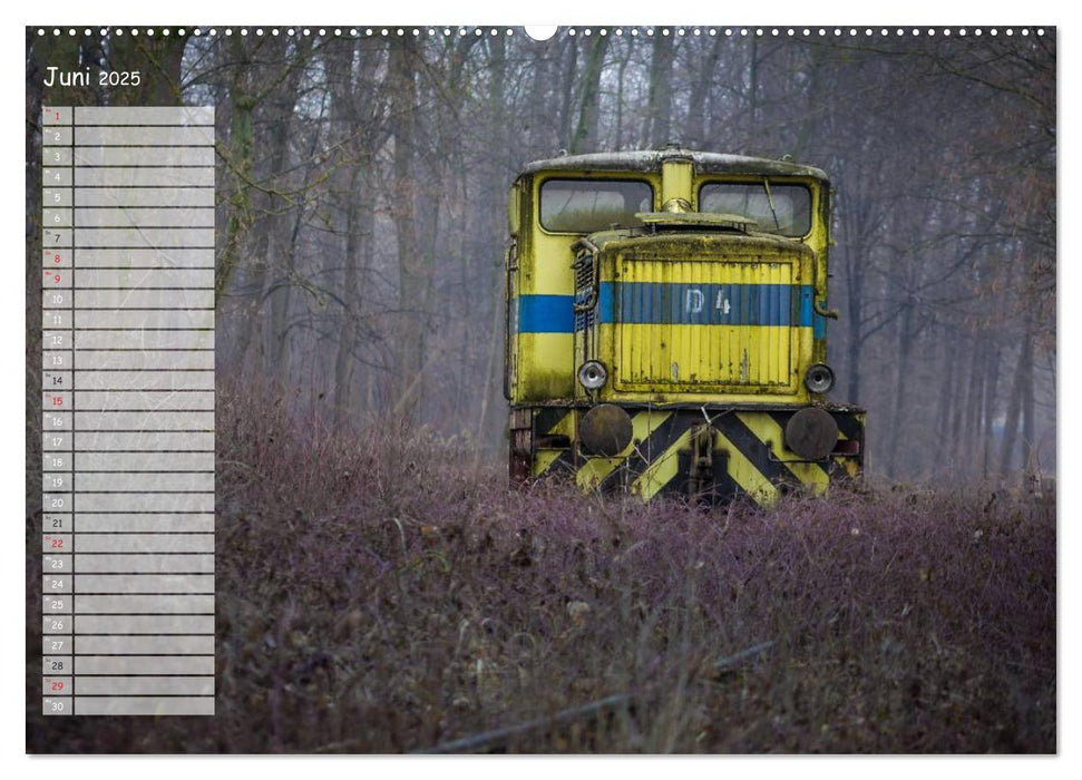 Endstation - In Vergessenheit geratene Bahngleise (CALVENDO Premium Wandkalender 2025)