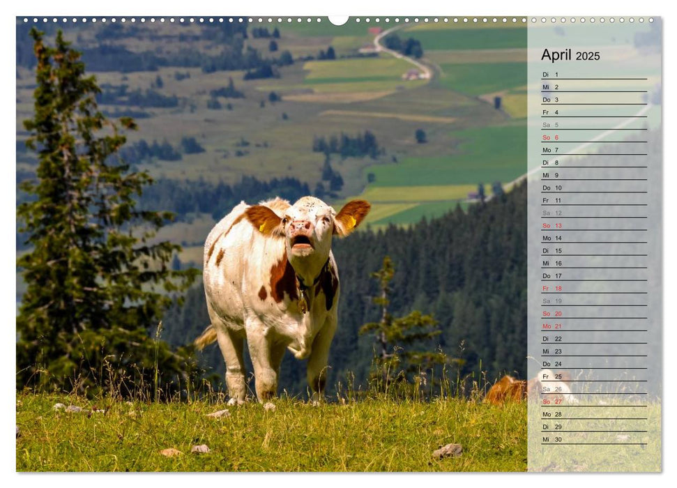 Traumhaftes Allgäu (CALVENDO Premium Wandkalender 2025)