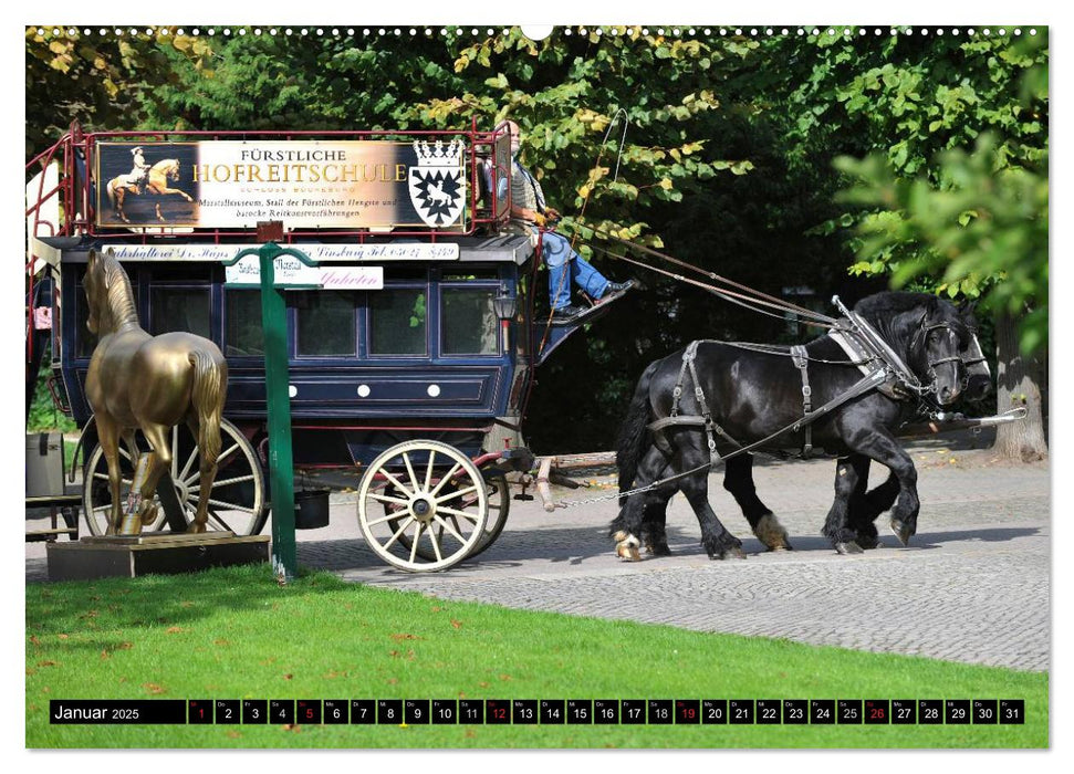 Traumpferde - Fürstliche Hofreitschule Bückeburg (CALVENDO Premium Wandkalender 2025)