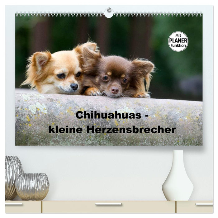 Chihuahuas - kleine Herzensbrecher (CALVENDO Premium Wandkalender 2025)