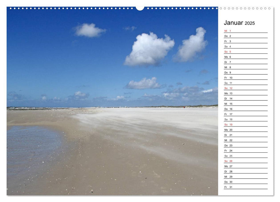 Amrum - Inselimpressionen (CALVENDO Premium Wandkalender 2025)