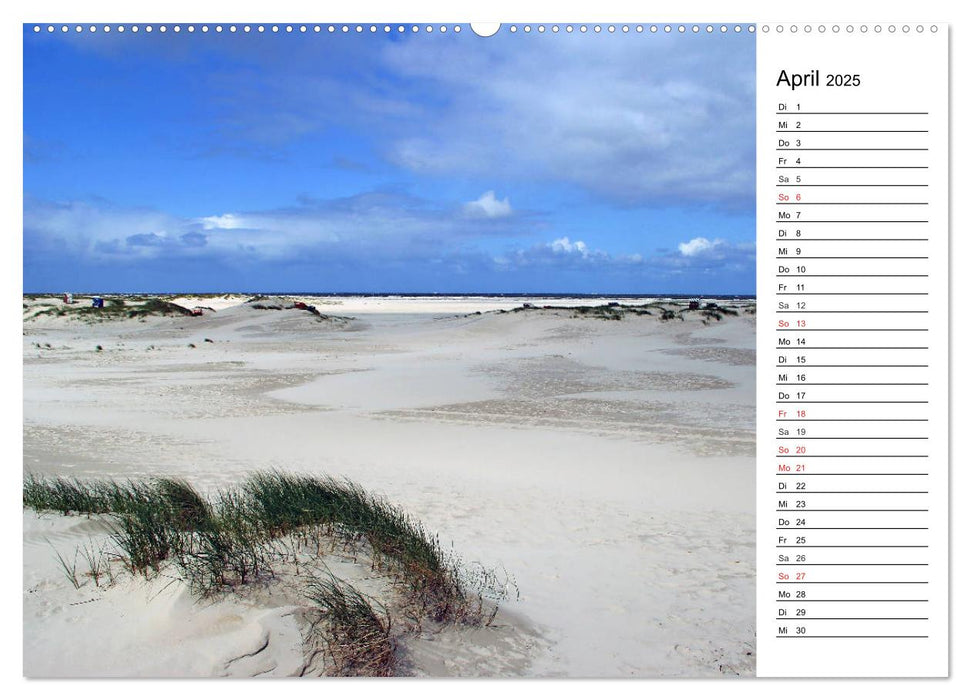 Amrum - Inselimpressionen (CALVENDO Premium Wandkalender 2025)