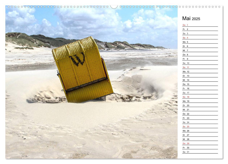 Amrum - Inselimpressionen (CALVENDO Premium Wandkalender 2025)