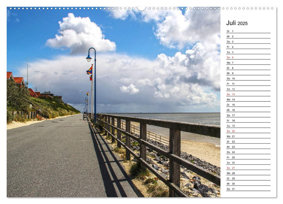 Amrum - Inselimpressionen (CALVENDO Premium Wandkalender 2025)