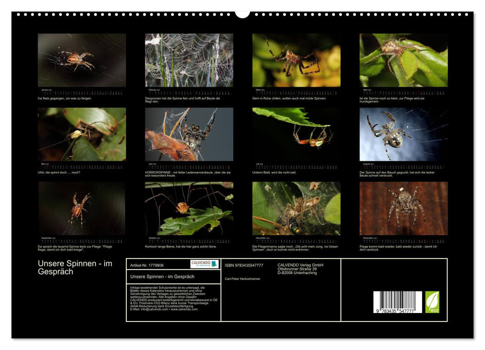 Unsere Spinnen - im Gespräch (CALVENDO Premium Wandkalender 2025)