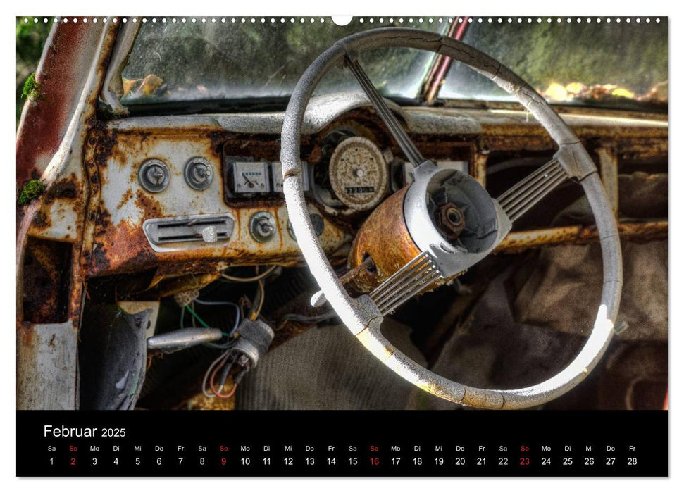Autos, abgestellt und vergessen (CALVENDO Premium Wandkalender 2025)