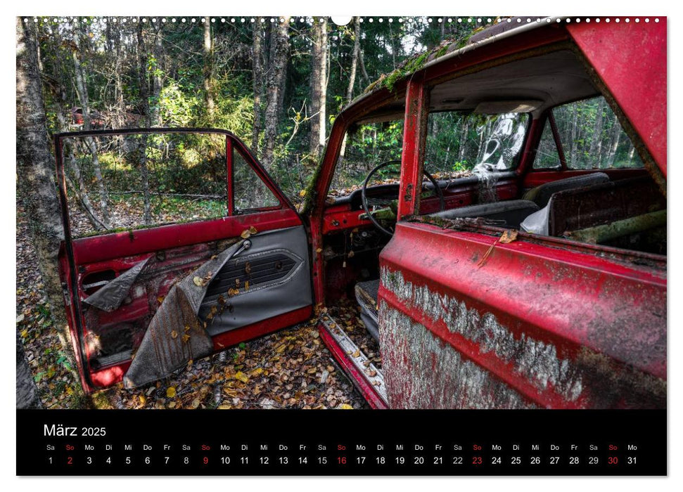 Autos, abgestellt und vergessen (CALVENDO Premium Wandkalender 2025)