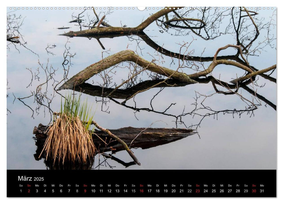 Gesehen auf - Rügen und Hiddensee (CALVENDO Premium Wandkalender 2025)