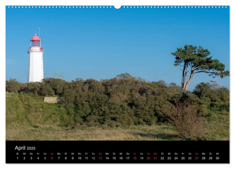 Gesehen auf - Rügen und Hiddensee (CALVENDO Premium Wandkalender 2025)