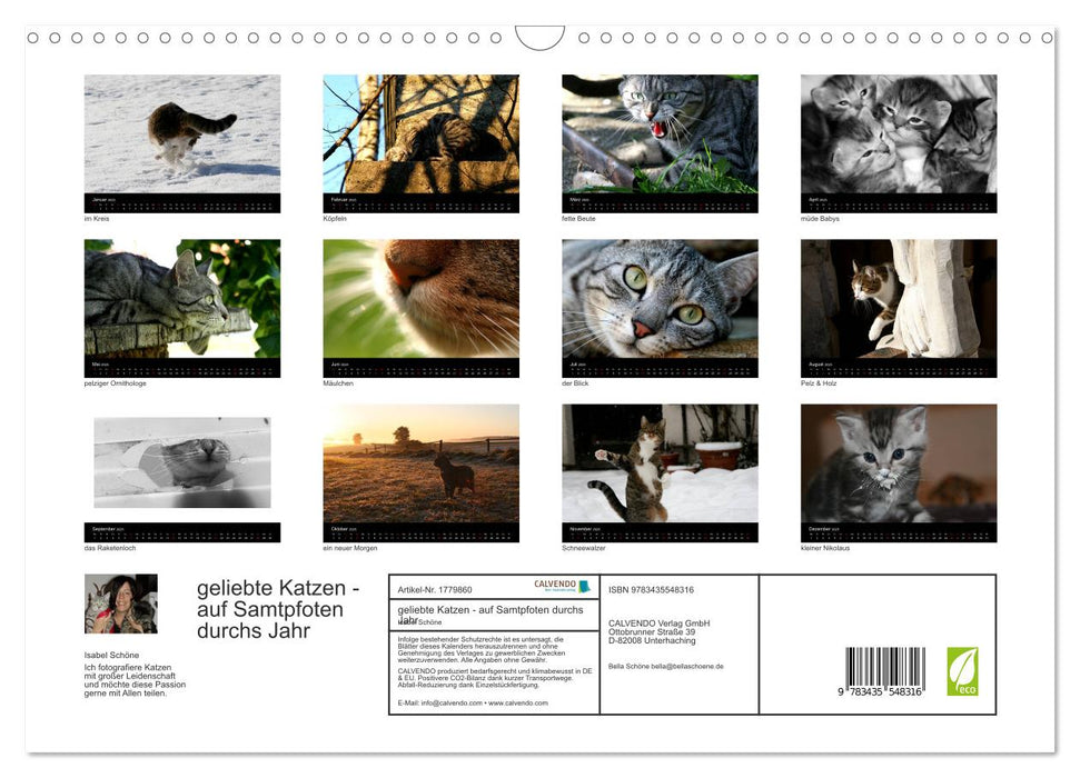 geliebte Katzen - auf Samtpfoten durchs Jahr (CALVENDO Wandkalender 2025)