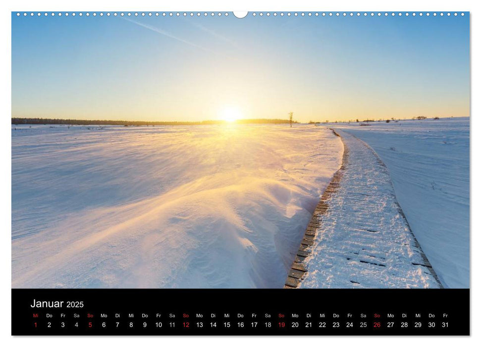 HOHES VENN - Einblicke in ein Hochmoor (CALVENDO Premium Wandkalender 2025)