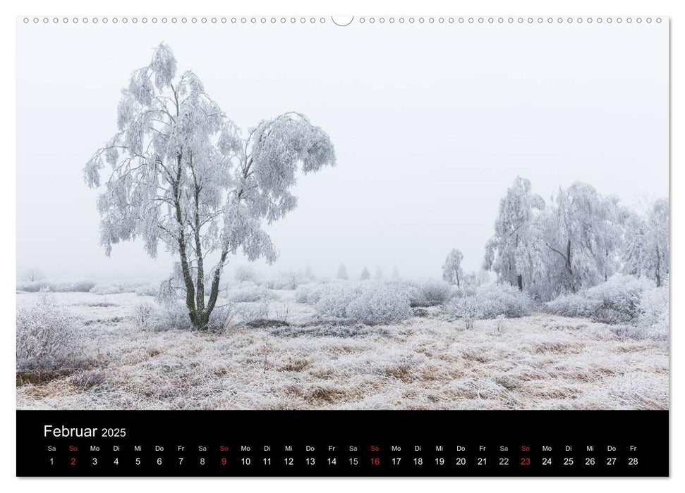 HOHES VENN - Einblicke in ein Hochmoor (CALVENDO Premium Wandkalender 2025)