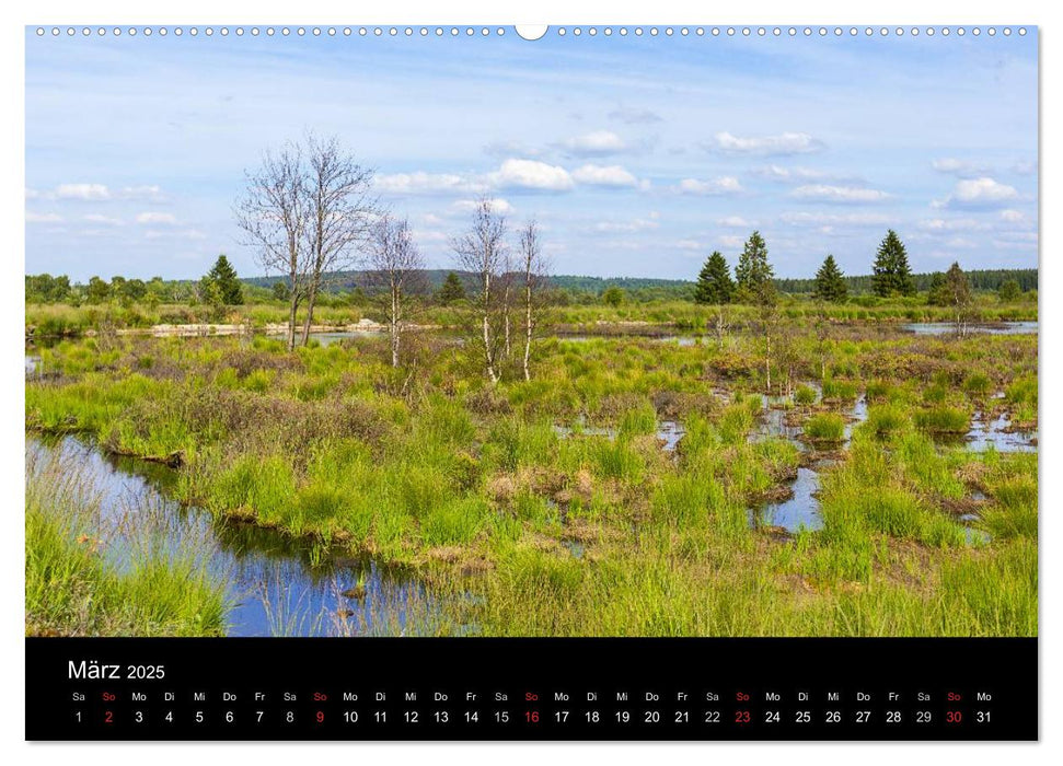 HOHES VENN - Einblicke in ein Hochmoor (CALVENDO Premium Wandkalender 2025)