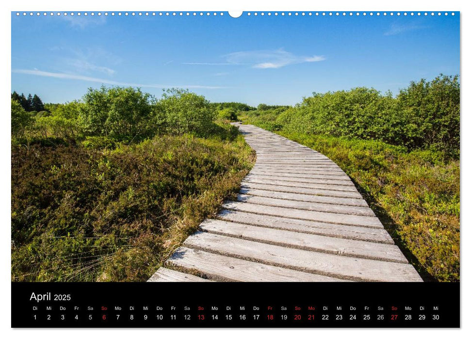 HOHES VENN - Einblicke in ein Hochmoor (CALVENDO Premium Wandkalender 2025)