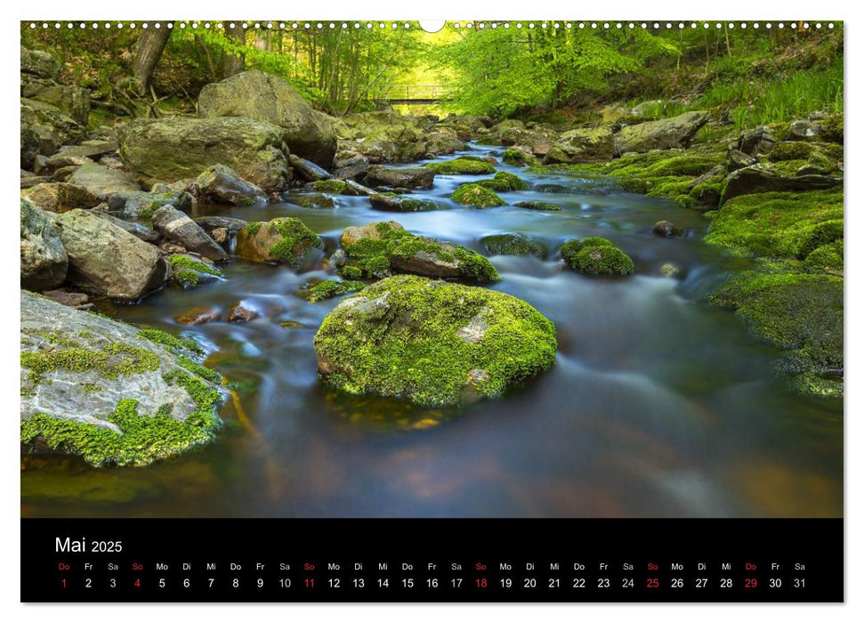 HOHES VENN - Einblicke in ein Hochmoor (CALVENDO Premium Wandkalender 2025)