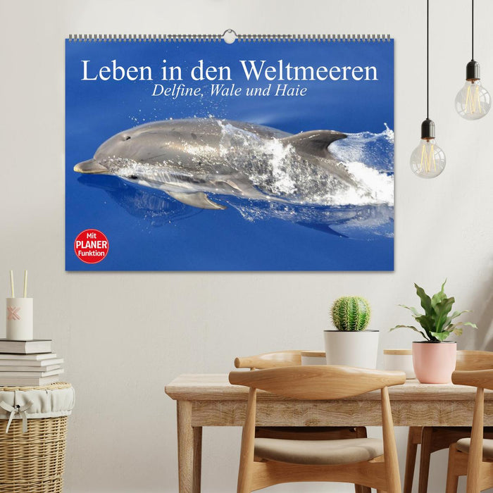 Leben in den Weltmeeren. Delfine, Wale und Haie (CALVENDO Wandkalender 2025)