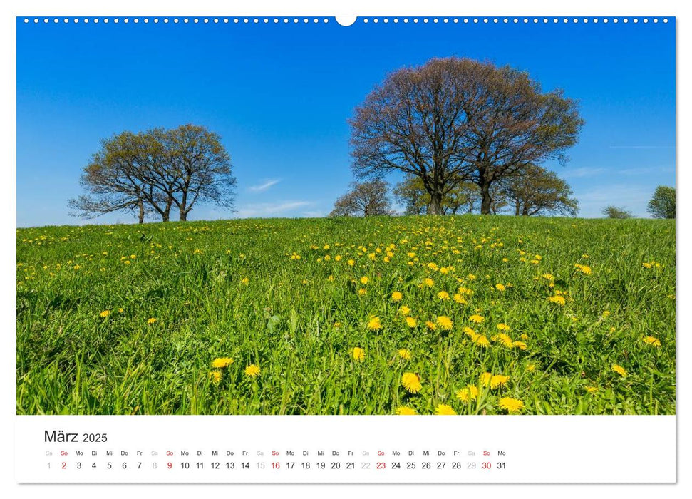 Blicke in die Eifel (CALVENDO Premium Wandkalender 2025)