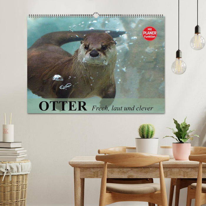 Otter. Frech, laut und clever (CALVENDO Wandkalender 2025)