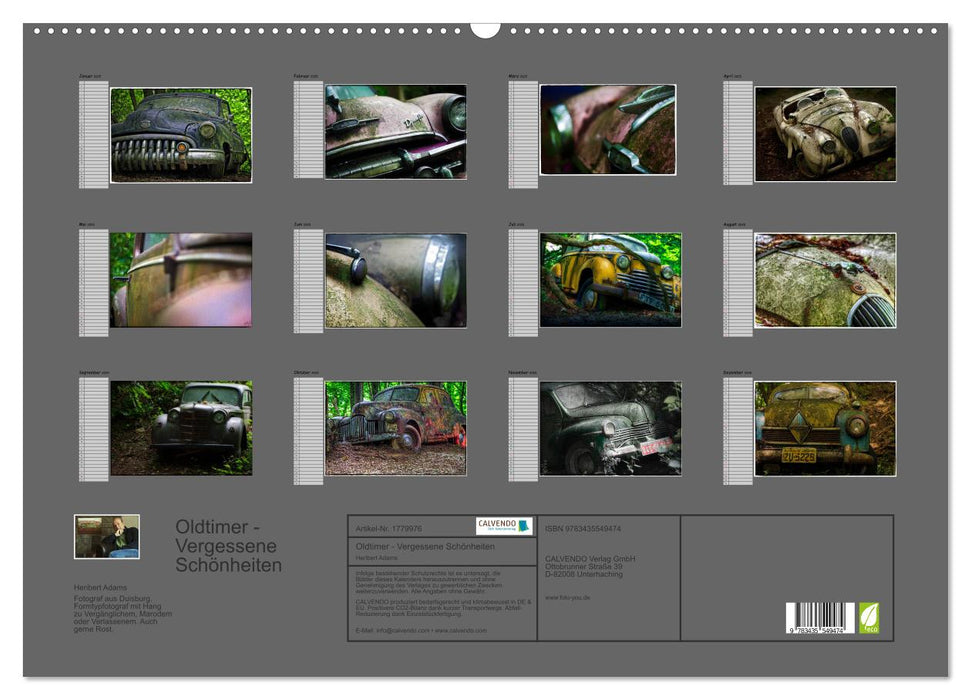 Oldtimer - Vergessene Schönheiten (CALVENDO Wandkalender 2025)