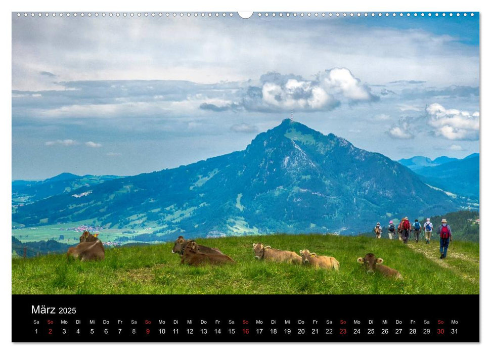 Allgäuer Impressionen (CALVENDO Premium Wandkalender 2025)