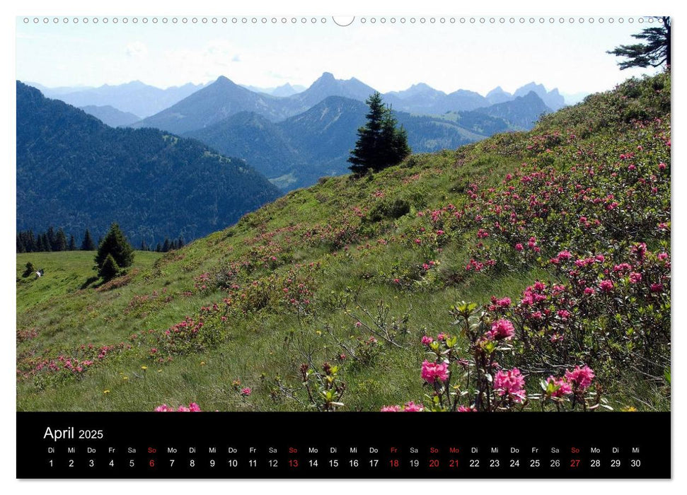 Allgäuer Impressionen (CALVENDO Premium Wandkalender 2025)