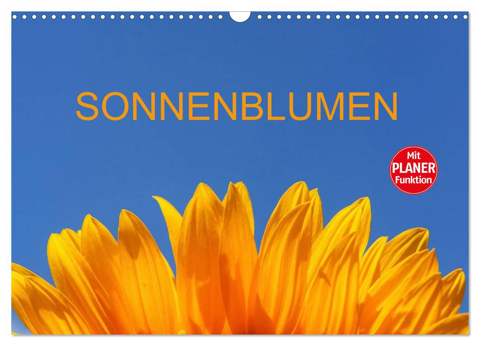 Sonnenblumen (CALVENDO Wandkalender 2025)