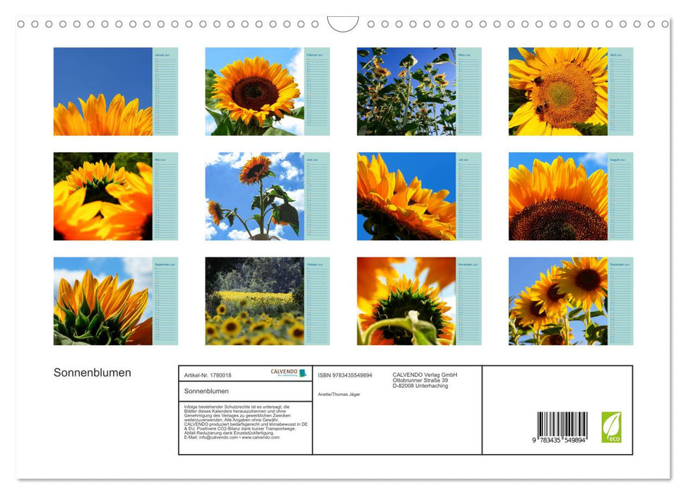 Sonnenblumen (CALVENDO Wandkalender 2025)