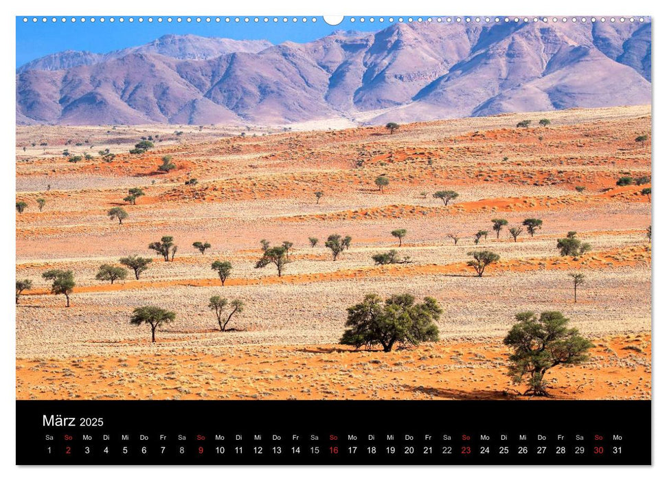 Lichterfülltes Namibia (CALVENDO Premium Wandkalender 2025)