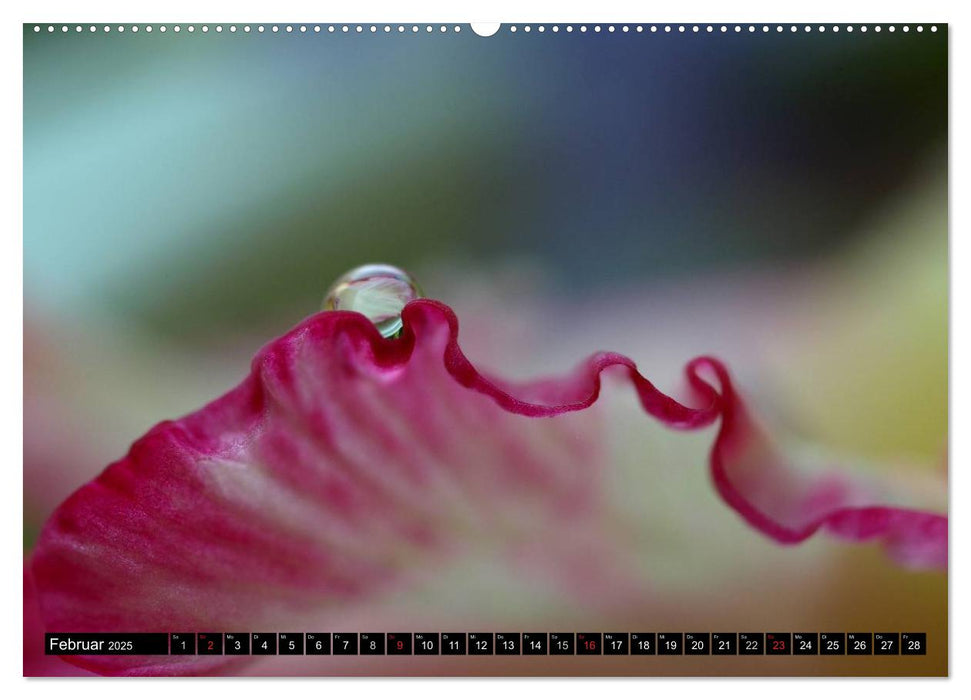 Wassertropfen - Diamanten des Lebens (CALVENDO Wandkalender 2025)