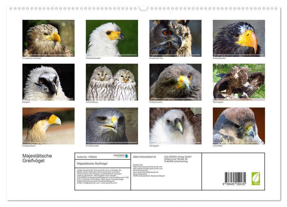 Majestätische Greifvögel (CALVENDO Premium Wandkalender 2025)