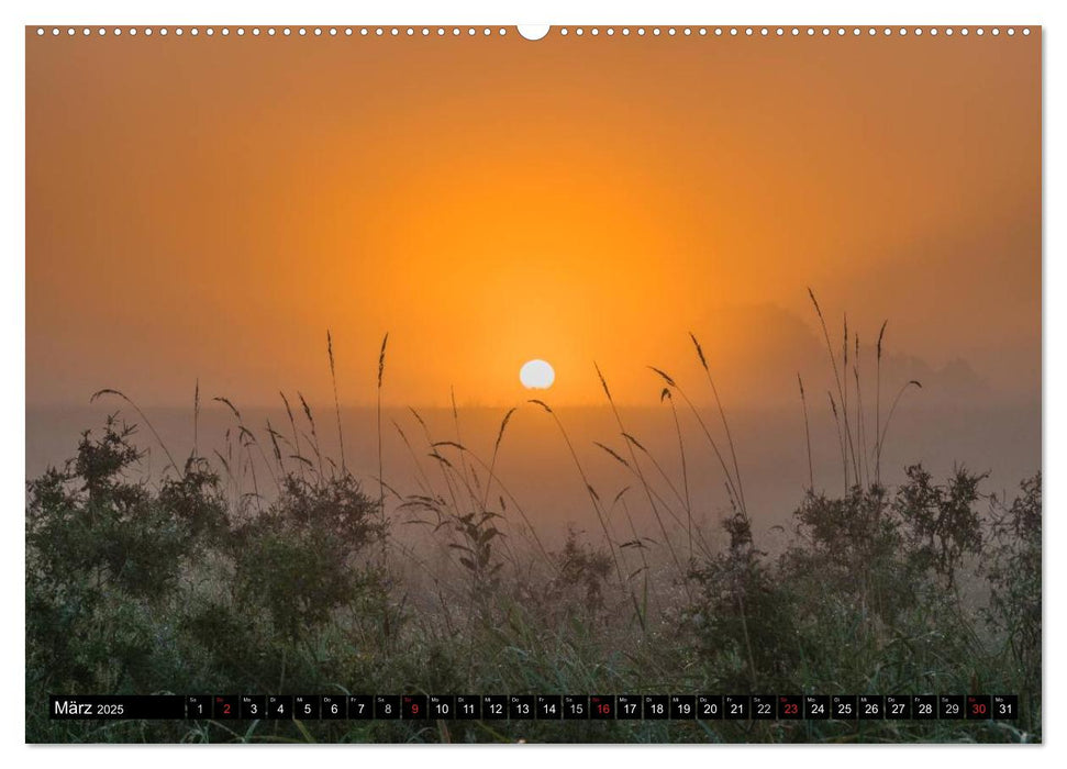 Immer wieder Sonnenschein (CALVENDO Wandkalender 2025)