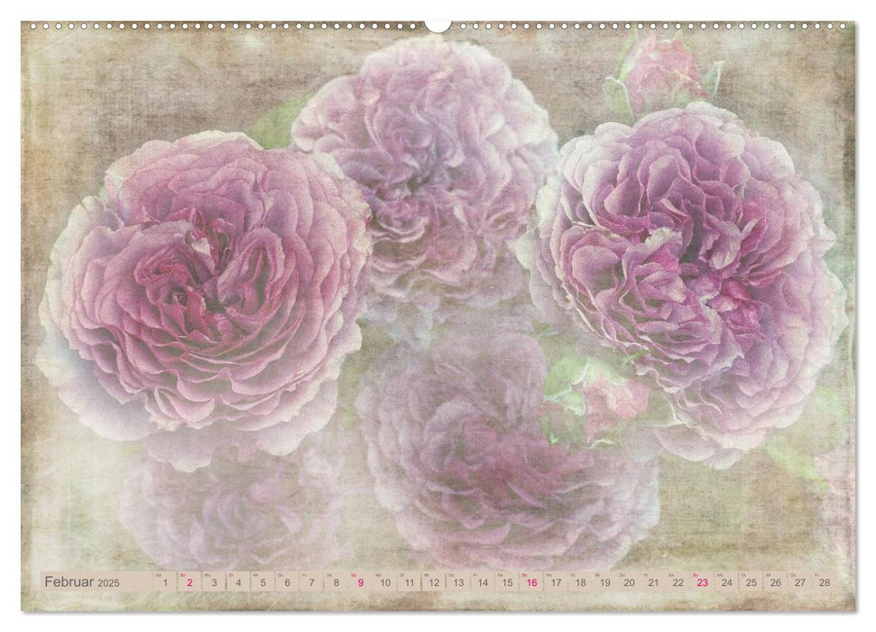 Rosenduft Shabby Chic Style (CALVENDO Premium Wandkalender 2025)