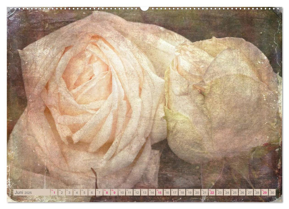 Rosenduft Shabby Chic Style (CALVENDO Premium Wandkalender 2025)