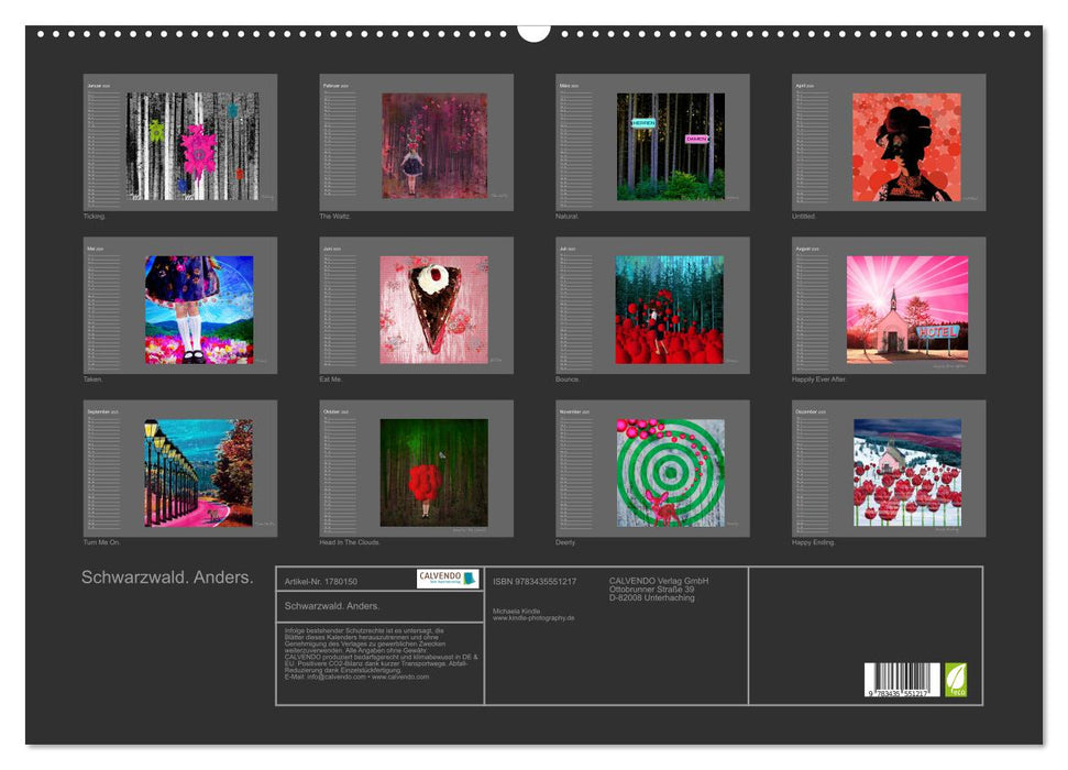 Schwarzwald. Anders. (CALVENDO Wandkalender 2025)