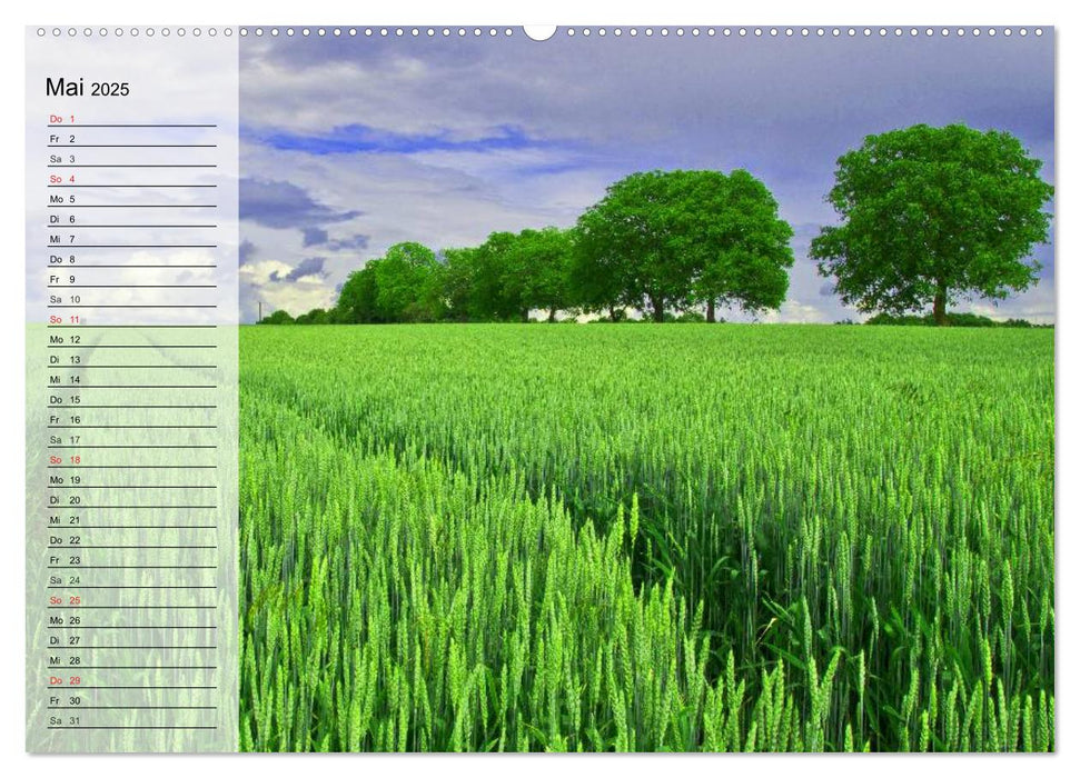 Agrarwirtschaft. Impressionen (CALVENDO Wandkalender 2025)