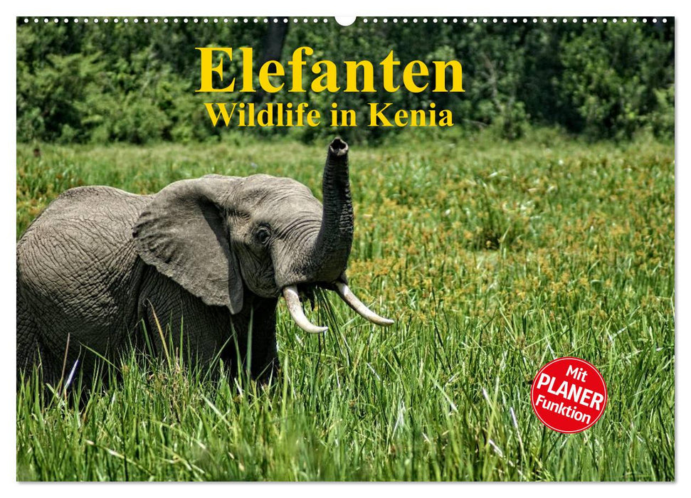 Elefanten . Wildlife in Kenia (CALVENDO Wandkalender 2025)